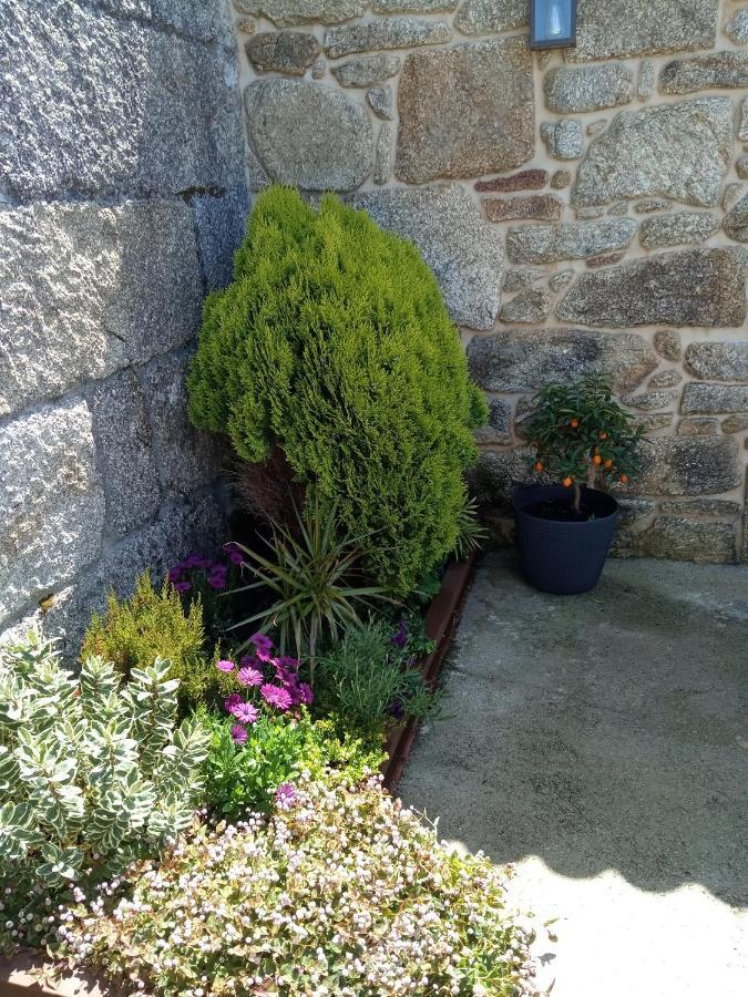 הוילה או גרובה O Inino Casita Rural Costera מראה חיצוני תמונה